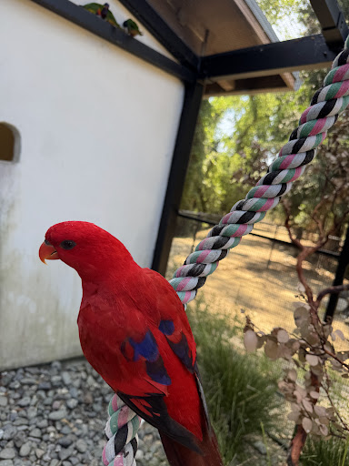 Turtle Bay Exploration Park 20250727 032834 002