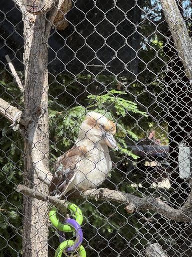 Turtle Bay Exploration Park 20250727 032835 003