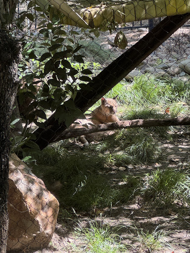 Turtle Bay Exploration Park 20250727 032836 004