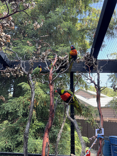 Turtle Bay Exploration Park 20250727 032839 007