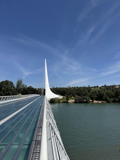 Turtle Bay Exploration Park 20250727 032839 008