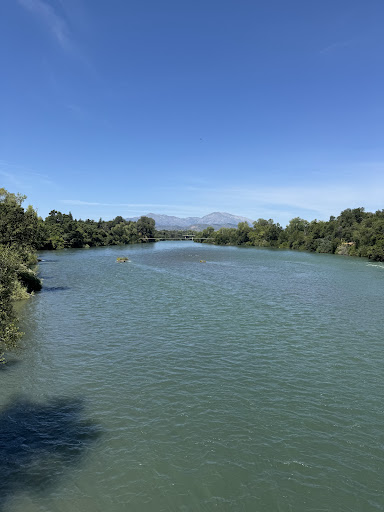 Turtle Bay Exploration Park 20250727 032840 009