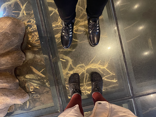 Turtle Bay Exploration Park 20250727 032843 013