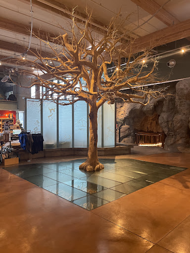 Turtle Bay Exploration Park 20250727 032844 014