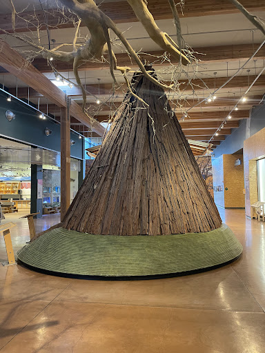 Turtle Bay Exploration Park 20250727 032845 015