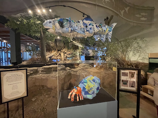 Turtle Bay Exploration Park 20250727 032846 016