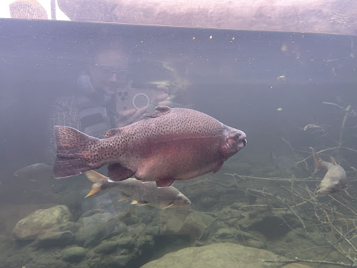 Turtle Bay Exploration Park 20250727 032848 019