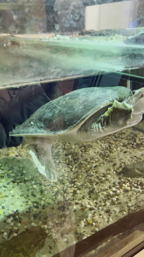 Turtle Bay Exploration Park 20250727 032849 020