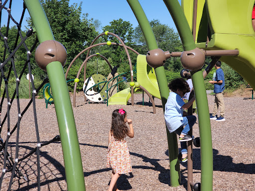 Turtle Walk Playground 20250727 054403 003