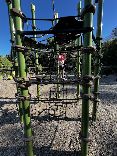 Turtle Walk Playground 20250727 054408 009