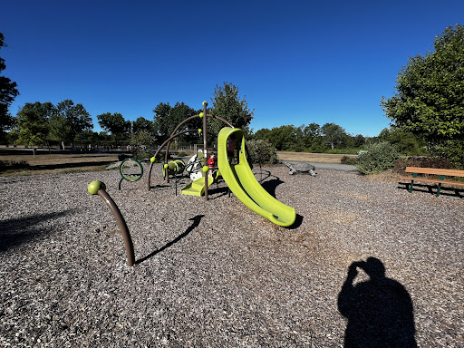 Turtle Walk Playground 20250727 054409 010