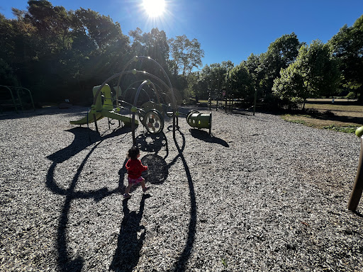 Turtle Walk Playground 20250727 054410 011