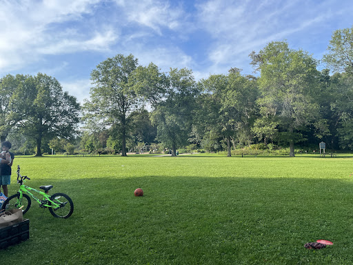 Turtle Walk Playground 20250727 054413 015