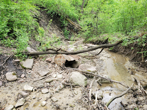 Tuthill Park Playground 20250727 070554 005