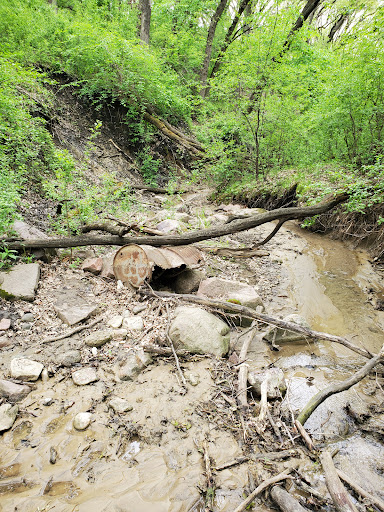 Tuthill Park Playground 20250727 070556 007