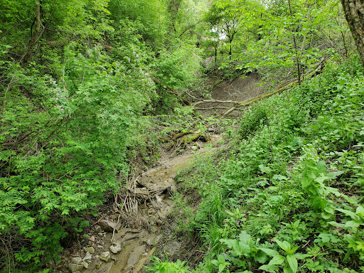 Tuthill Park Playground 20250727 070557 008