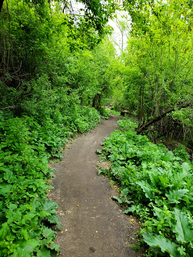 Tuthill Park Playground 20250727 070558 009