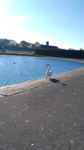 tynemouth-park-playground-in-north-shields-worldofplaygrounds