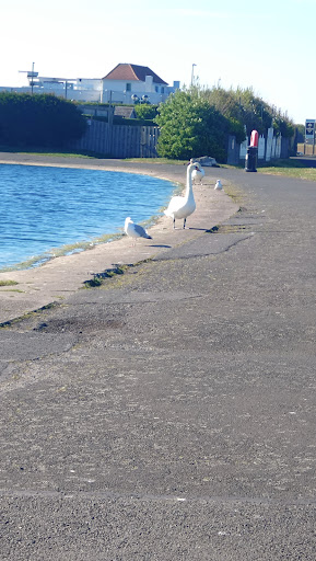 Tynemouth Park 20250808 153404 003