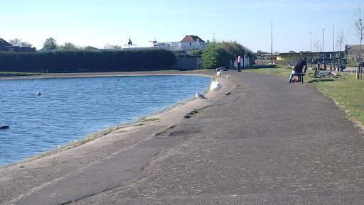 Tynemouth Park 20250808 153405 004