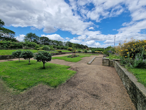 Tynemouth Park 20250808 153418 020