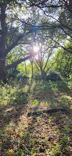 Ufford Recreation Ground 20250808 180033 013