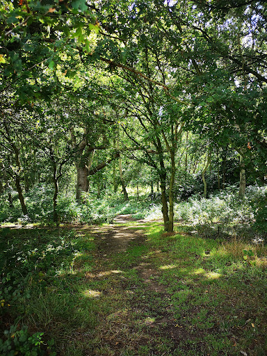 Ufford Recreation Ground 20250808 180033 014