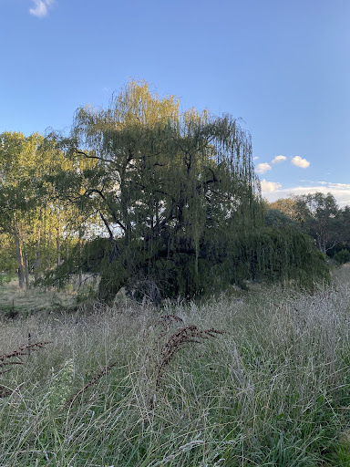 Umbagong District Park Fort Playground 20250824 004952 005