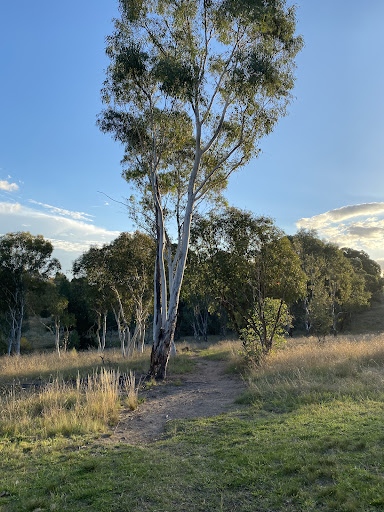 Umbagong District Park Fort Playground 20250824 005005 020