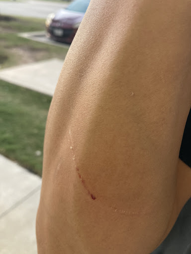 Urban Air Trampoline and Adventure Park 20250726 181044 007