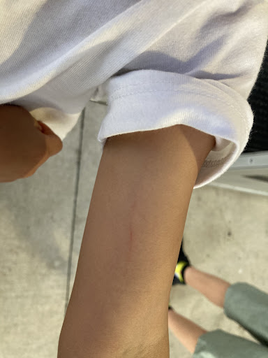 Urban Air Trampoline and Adventure Park 20250726 181045 008