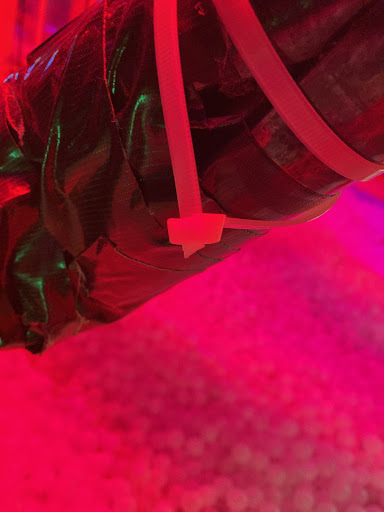 Urban Air Trampoline and Adventure Park 20250726 181046 010