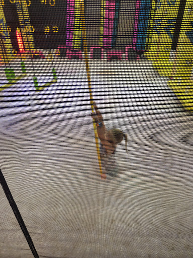 Urban Air Trampoline and Adventure Park 20250726 235447 006