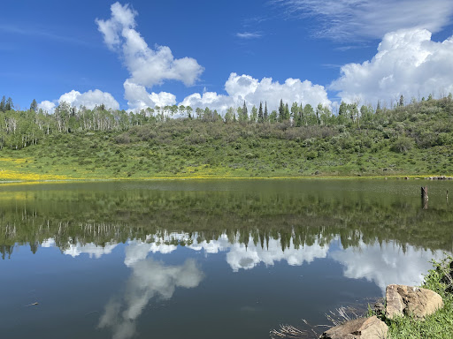 Ute Lodge 20250727 021048 009