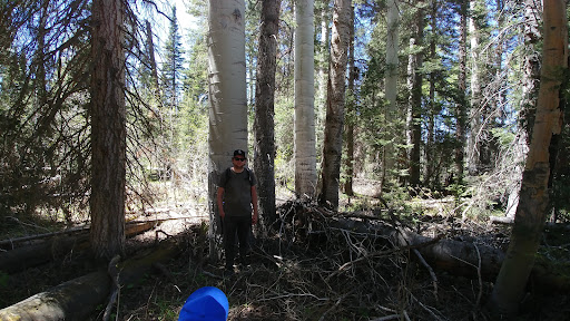 Ute Lodge 20250727 021052 014