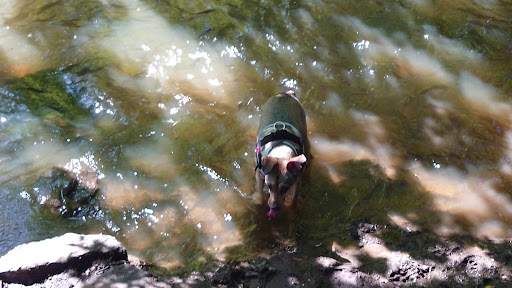 Valley Park play area 20250808 172123 001