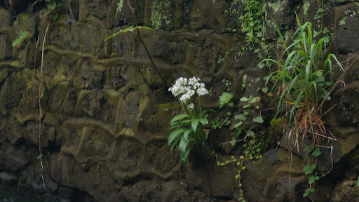 Valley Park play area 20250808 172124 002