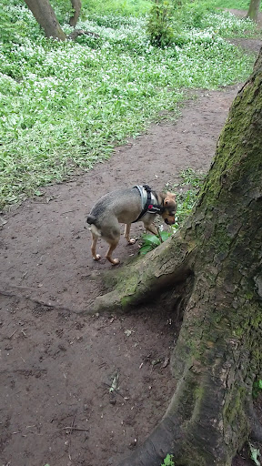 Valley Park play area 20250808 172125 003