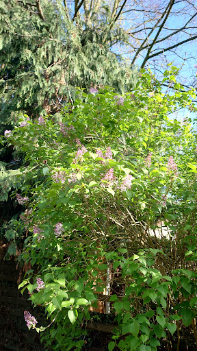 Valley Park play area 20250808 172126 005