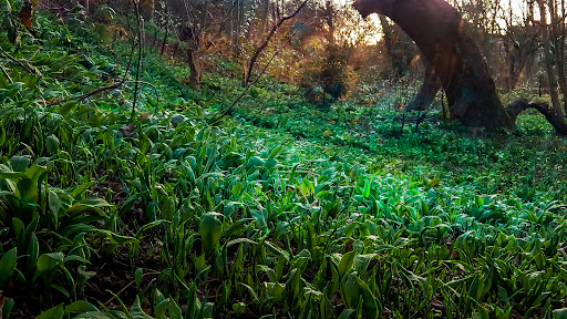 Valley Park play area 20250808 172128 007