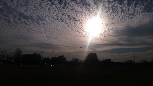 Vandergriff Park 20250726 192402 016