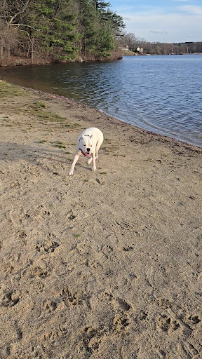 Varney Playground 20250727 065758 001