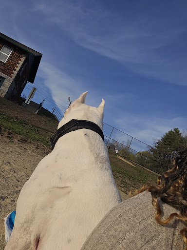 Varney Playground 20250727 065759 002