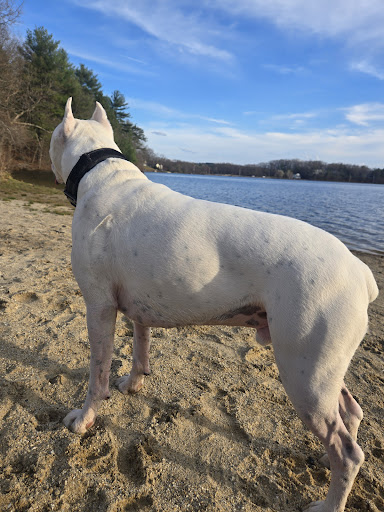 Varney Playground 20250727 065806 011