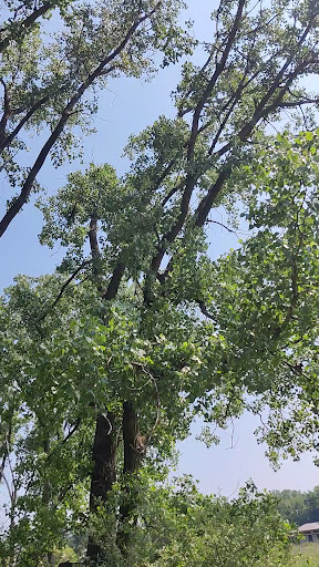 Vera Meineke Nature Center at Spring Valley 20250727 055806 002