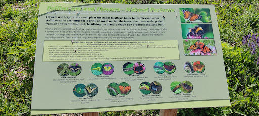 Vera Meineke Nature Center at Spring Valley 20250727 055809 006