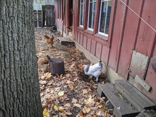 Vera Meineke Nature Center at Spring Valley 20250727 055817 015