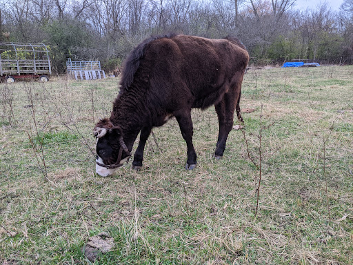 Vera Meineke Nature Center at Spring Valley 20250727 055818 017