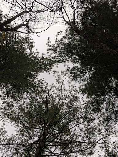 Vera Meineke Nature Center at Spring Valley 20250727 055820 019