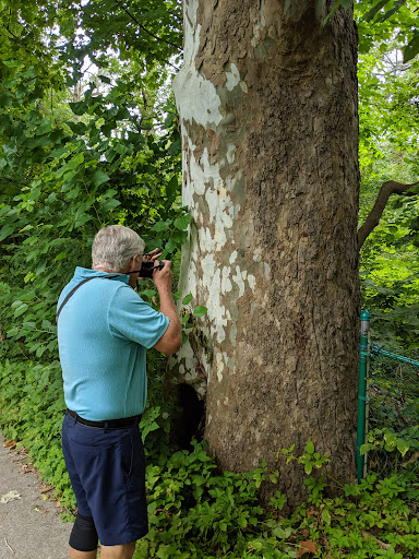 Veterans Memorial Park 20250727 071329 004